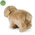 Plüss vizidisznó - capybara 30 cm - környezetbarát